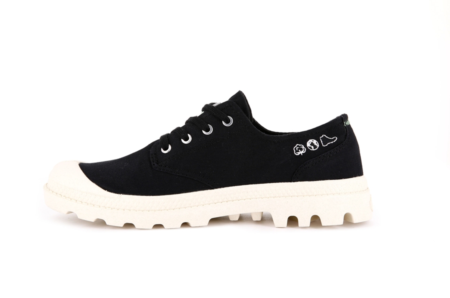 Palladium Pampa Black | IPT1941UO