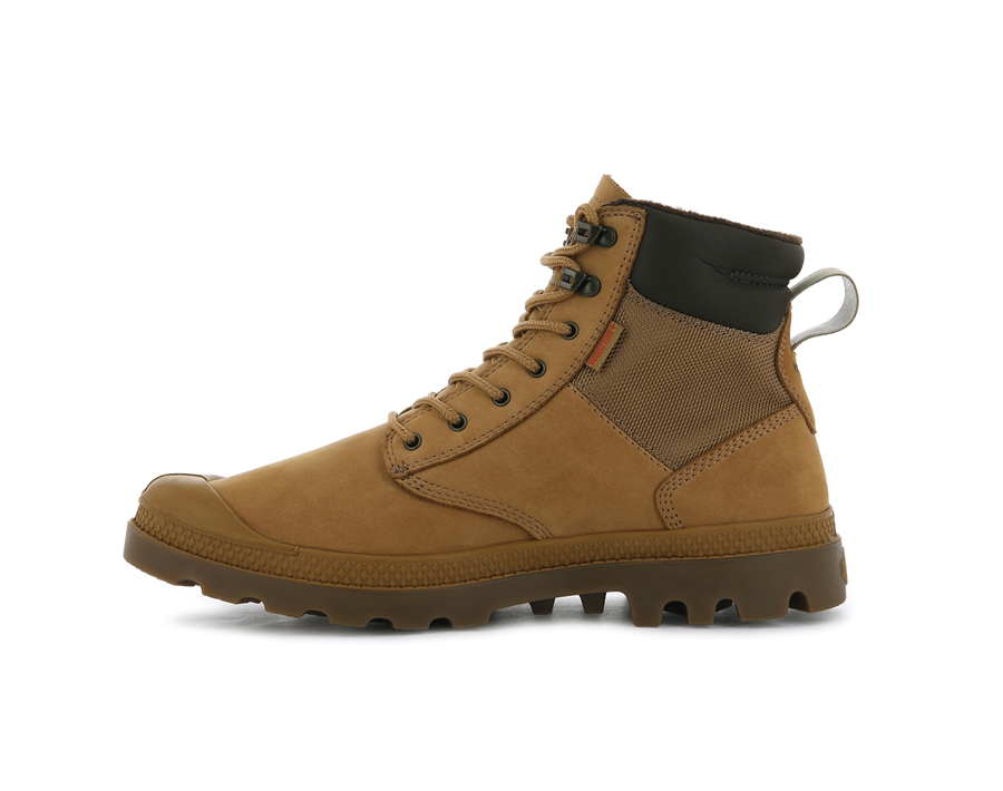 Palladium Pampa Gold | MSS4020OU