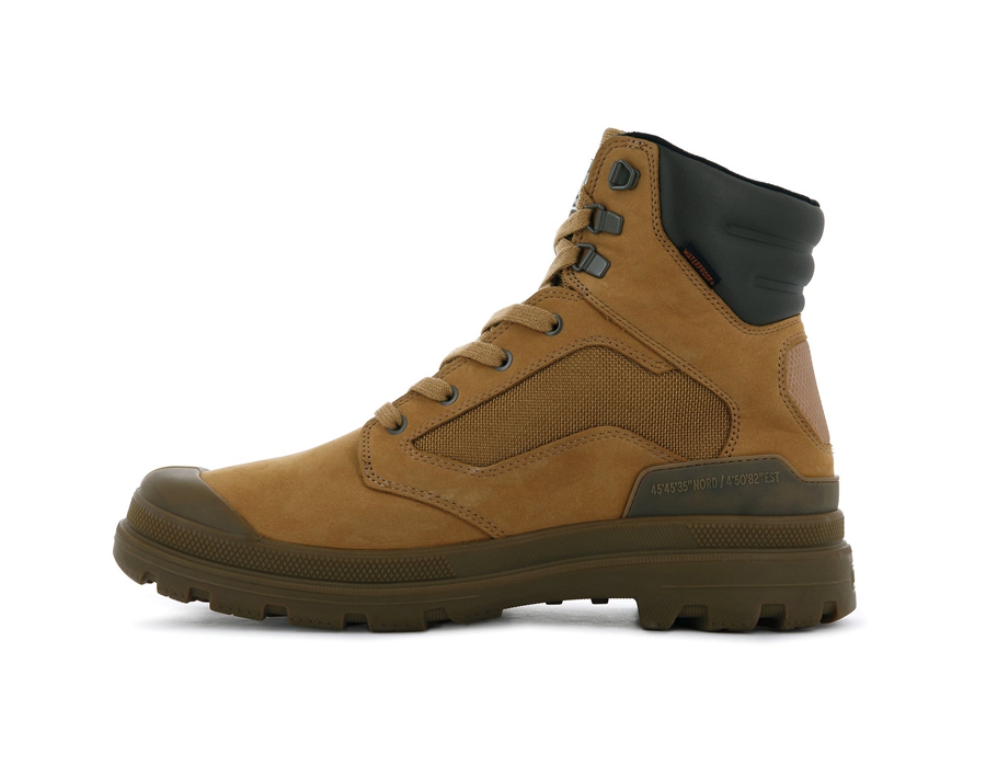 Palladium Pampa Gold | WTU4064JP