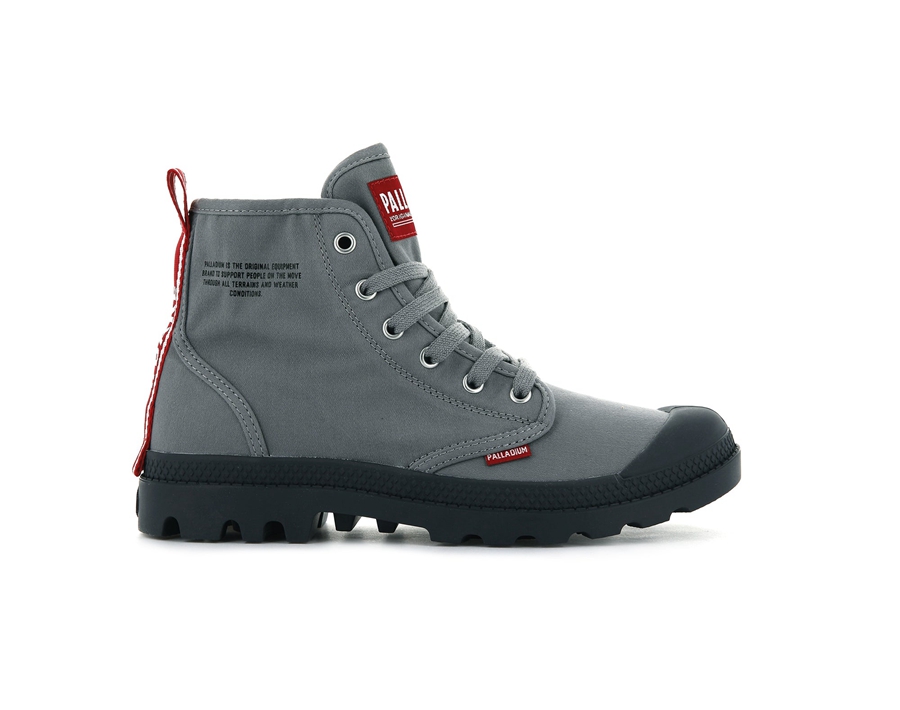 Palladium Pampa Hi Titanium | CAX6512YV